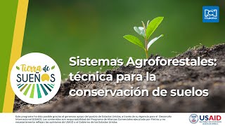 Sistemas Agroforestales una de las más importantes técnicas para la conservación de suelos [upl. by Niabi]