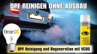 DPF reinigen ohne Ausbau  CLEANTEC Dieselpartikelfilter Reiniger Spray [upl. by Leffert]