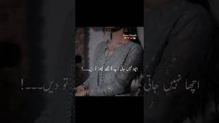 urdu novel lineshindi novel lines [upl. by Ahouh]