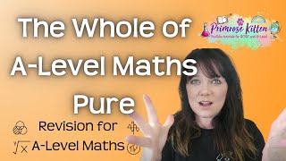 The Whole of A Level Maths  Pure  Revision for AQA Edexcel OCR AND WJEC [upl. by Snej]