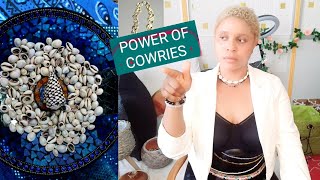 health and spiritual benefit of cowrieswhy you need itbecome wealthy [upl. by Malek]