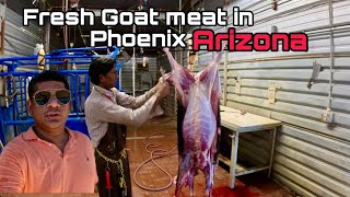 Fresh Goat Meat in Phoenix Arizona [upl. by Colville]