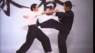 Wing Chun  The Science of InFighting Wong Shun Leung LEGENDADO [upl. by Philippe]