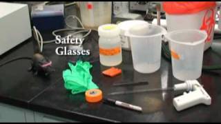 Protein Purification with Dialysis Tubing [upl. by Nolita38]