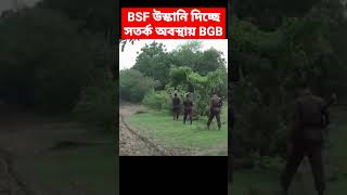 BSF vs BGB at India Bangladesh Border [upl. by Drews732]