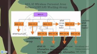 IEEE 802 Wireless Standards [upl. by Roque]