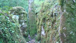 Sentier Nature amp Labyrinthe Vert du Nébias by PatidorsNET [upl. by Irrok]