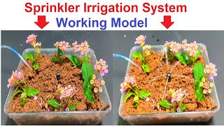 sprinkler irrigation system working model science project for exhibition  syringes  DIY pandit [upl. by Adnic]