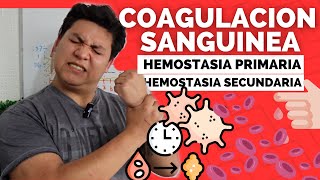 FISIOLOGIA DE LA COAGULACION 🩸 Hemostasia PRIMARIA y SECUNDARIA  FACIL [upl. by Lalage]