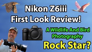 Nikon Z6iii Review For Wildlife And Bird Photographers First Look Review [upl. by Pownall]