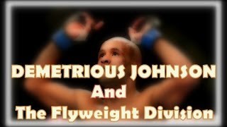 Demetrious Johnson vs Joseph Benavidez 2  And my thoughts about the flyweight division [upl. by Joshi]