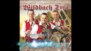 Wildbach Trio 2013  Das neue Album ab 57 im Handel [upl. by Schear]