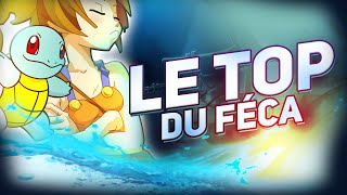 Le TOP du Féca  DOFUS RETRO PVP [upl. by Anehsak]