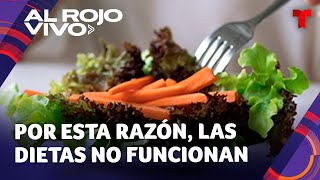 ¿Qué hacer si las dietas no funcionan [upl. by Leahcimaj]