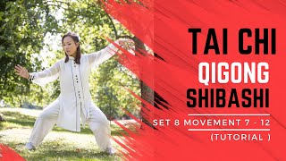 Tai Chi Qigong Shibashi Set 8 Tutorial  Movements 712  Mirrored version with all the details [upl. by Zima]