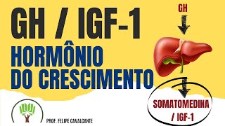 HORMÔNIO DO CRESCIMENTO  GH  IGF1  SOMATOTROFINA enem corte [upl. by Aihtnyc]