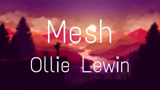 Ollie Lewin – Mesh Lyrics [upl. by Ahsiuqel]