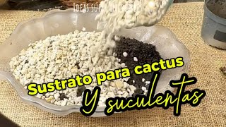 Como preparo el sustrato para cactus y suculentas [upl. by Menis]