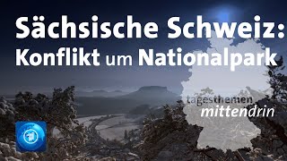 Hohnstein Sächsische Schweiz Konflikt um Nationalpark  tagesthemen mittendrin [upl. by Evan]