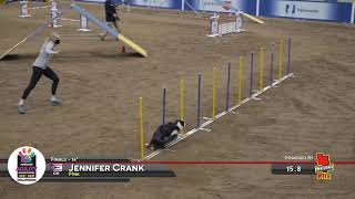 Jennifer Crank and Pnk Win The 2021 AKC National Agility Championships 16quot Finals [upl. by Sontich584]