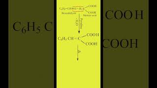 knoevenagal Reaction  Benzaldehyde amp Malonic acid  Cinnamic acid  Organic Chemistry Class 12 [upl. by Eilliw]