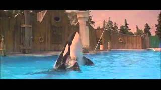 free willy best scene [upl. by Eeliab]