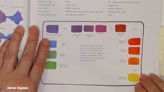 Color Choices Stephen Quiller Art book review [upl. by Zerelda334]