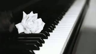 Chopin  Nocturne Op 9 n 2 Maurizio Pollini [upl. by Sophey]