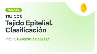 Tejido Epitelial  Clasificación  Biología  Tejidos  V4  Egg Educación [upl. by Odab]