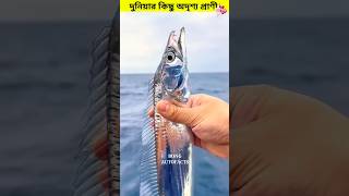 দুনিয়ার কিছু অদৃশ্য প্রাণী 😲😱tarun0669 subscribe unknownfacts love youtubeshorts viralvideo [upl. by Siva]