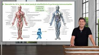 Anatomie I Obere Extremität Gefäße Übersicht Aa amp Vv OE I Prof Dr med Wirth [upl. by Onairotciv629]