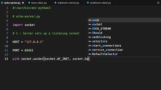 Creating a Simple Socket Server and Client in Python [upl. by Leahcar859]