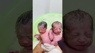 twins in first bath babyborn baby newbornbabymoments [upl. by Canon31]