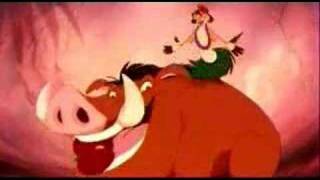 Lion King  Timon and Pumbaa Hula Dance [upl. by Vareck]