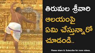 Tirumala Sri Venkateswara Swamy Temple Inside Video [upl. by Cilla]