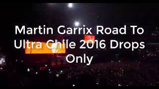 Martin Garrix Road To Ultra 2016 Drops Only [upl. by Elvyn959]