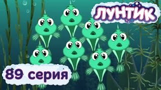 Лунтик и его друзья  89 серия Мальки [upl. by Gonsalve]