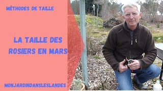 Taille des rosiers en mars buissons grimpants rugueux  Monjardindansleslandes [upl. by Lisette]