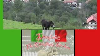 Dominic The Italian Christmas Donkey [upl. by Yuma33]