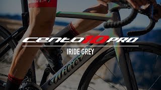 NEW RELEASE WILIER FILANTE VS 0 SLR VS CENTO 10 NDR  BIKOTIC [upl. by Harmony]