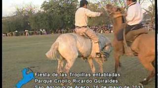 Jineteadas en la fiesta de las tropillas entabladas San Antonio de Areco Mayo 2013  Parte 3 [upl. by Airpac]