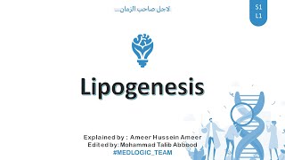 Lipogenesis Fatty Acid synthesis Part 1 [upl. by Baumann]