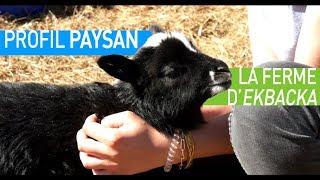 Profil Paysan 1  La Permaculture en Suède [upl. by Htebazil]