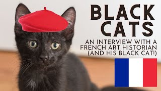 Black Cats in French Art amp History  Interesting Interview in Paris [upl. by Aramal589]