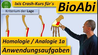 Homologe und analoge Organe Homologiekriterien Anwendungsaufgaben 1a ErläuternBegründen BioAbi [upl. by Fauman]