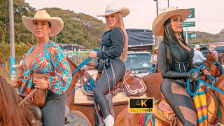 Gran Cabalgata en las Fiestas de Zarzal  Valle 😍 COLOMBIA 2024 [upl. by Cawley]