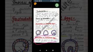 Gastrulation  Process of Gastrulation  Developmental Biology  BSc Zoology  Rehan Khan Sir [upl. by Euqinotna]