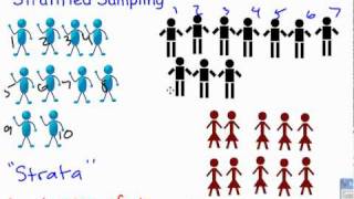 msc final year botany cytological and molecular analysis of sam [upl. by Peatroy]