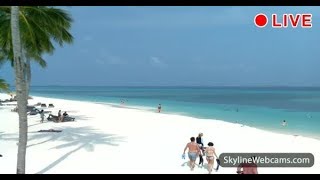 Amazing live webcam from the Maldives [upl. by Luba]