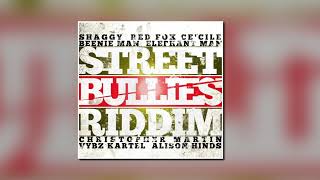 ShaggyLong Time Street Bullies Riddim 2009 Big Yard PCS 720p [upl. by Sorgalim]